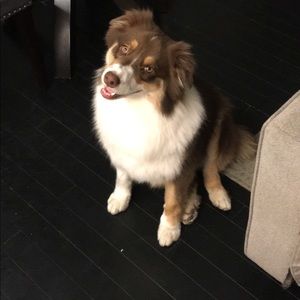 Meet your Posher, Leah